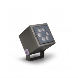 LED Flood Light